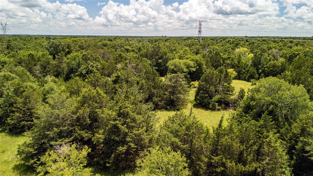Tract 8 Fm-1366 Property Photo 3