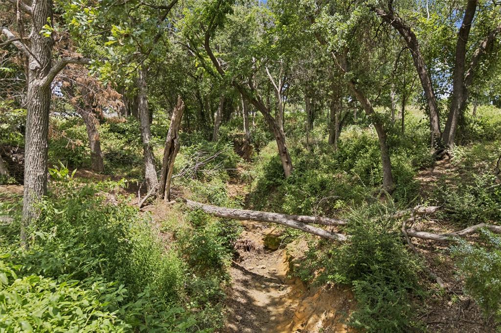 Tbd Surveyors Lane Property Photo 8