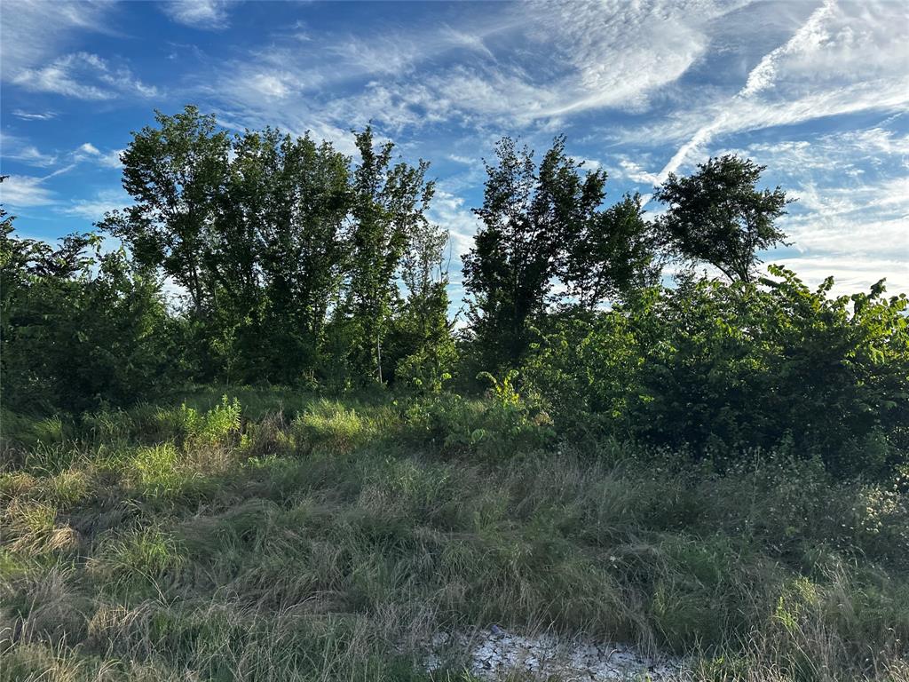 Tbd Fm-1499 Property Photo 2