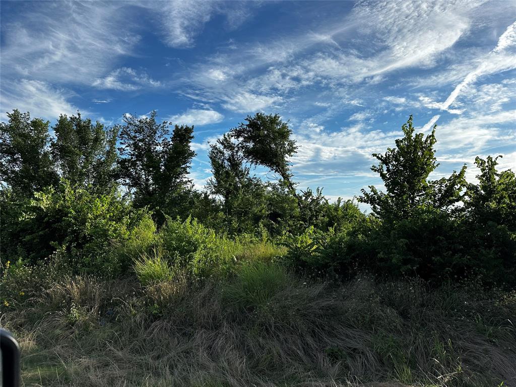 Tbd Fm-1499 Property Photo 3