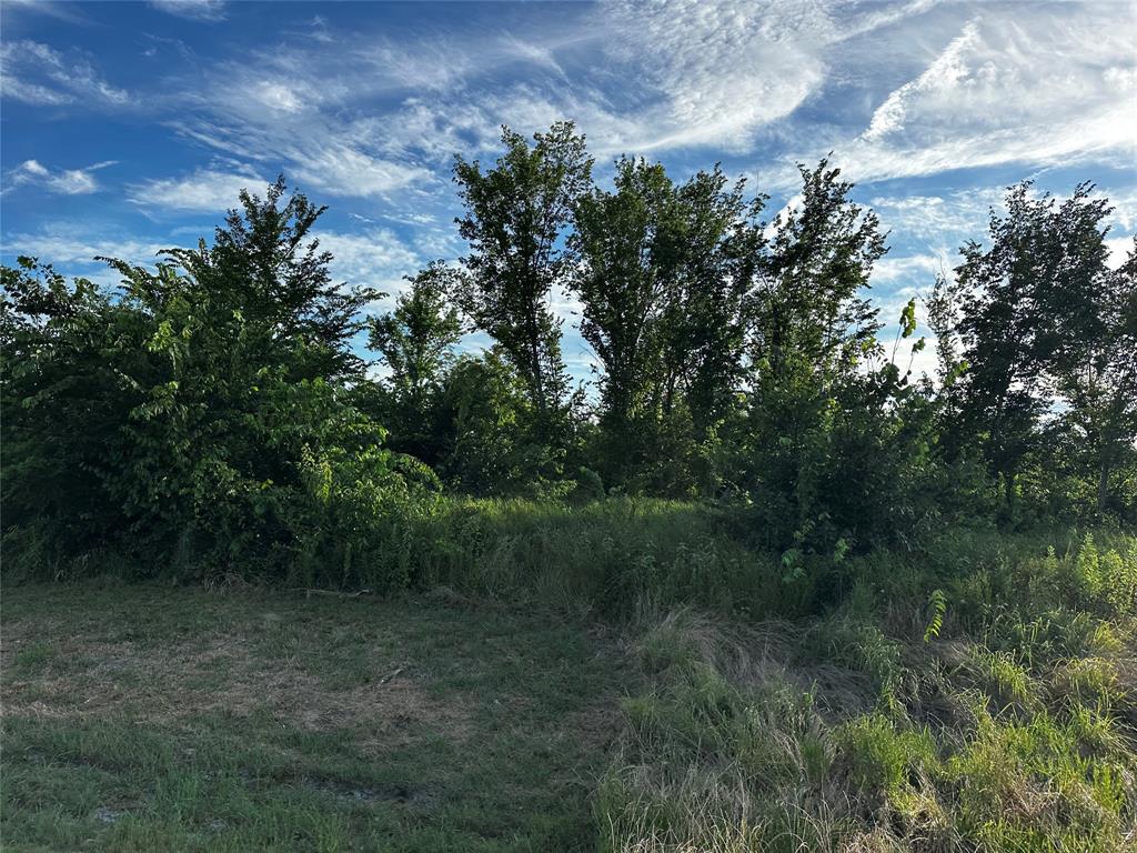 Tbd Fm-1499 Property Photo 4