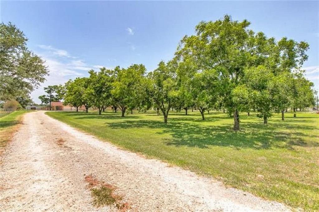 4696-b N Highway 377 Property Photo 39