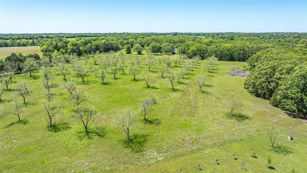 Tbd (lot 12a & 12b) County Road 1580 Property Photo 5