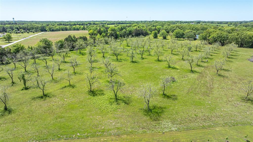 Tbd (lot 12a & 12b) County Road 1580 Property Photo 7