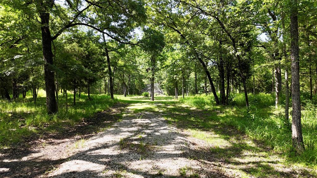 12756 Hidden Acres Road Property Photo 2