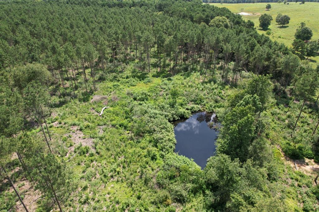 Tbd County Road 3706 Property Photo 1