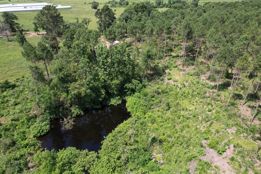 Tbd County Road 3706 Property Photo 2