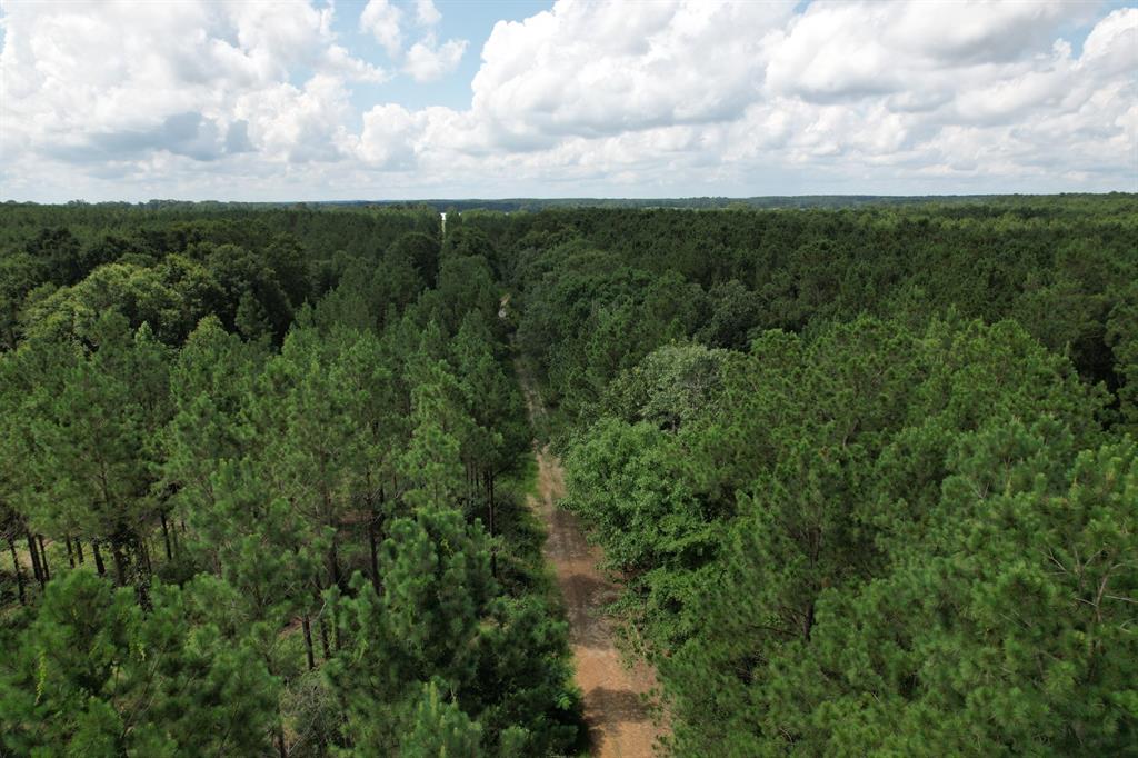 Tbd County Road 3706 Property Photo 3