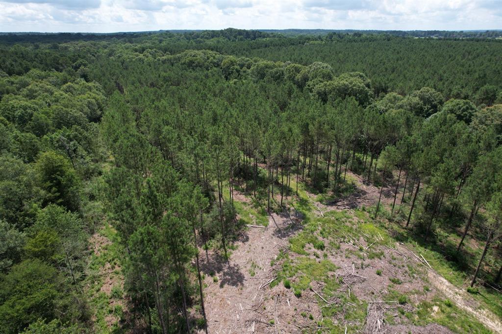 Tbd County Road 3706 Property Photo 4