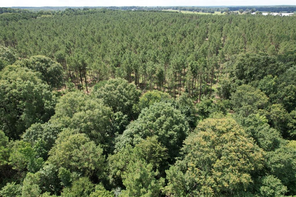 Tbd County Road 3706 Property Photo 5