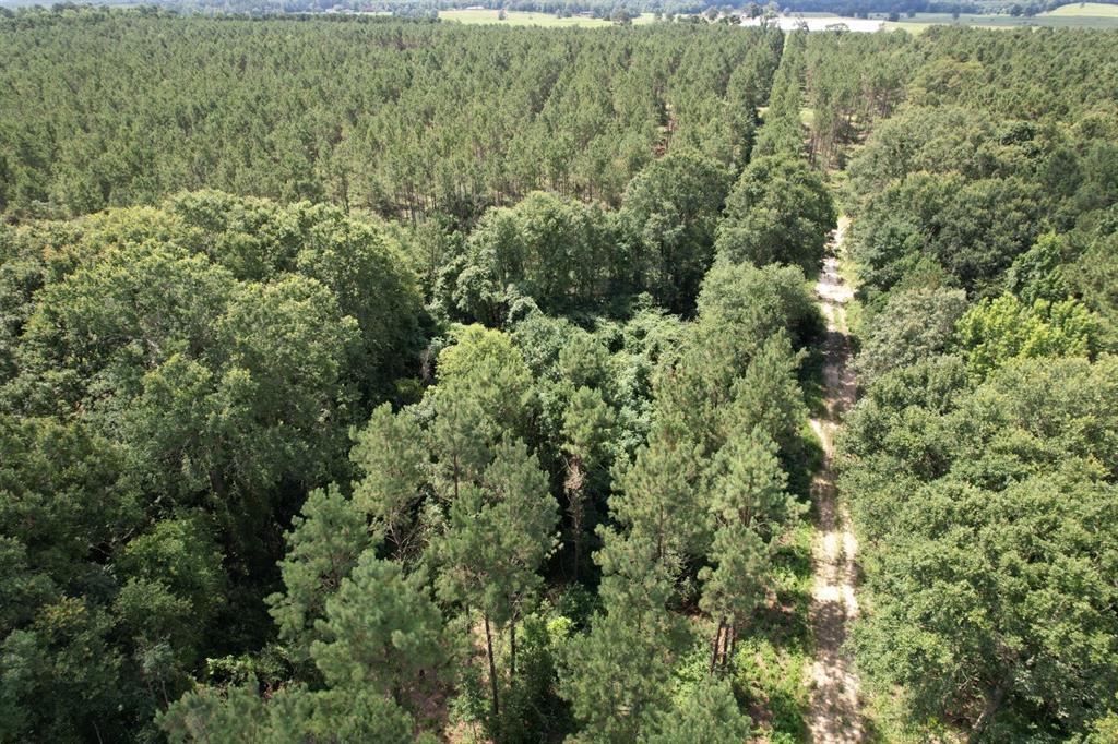 Tbd County Road 3706 Property Photo 6