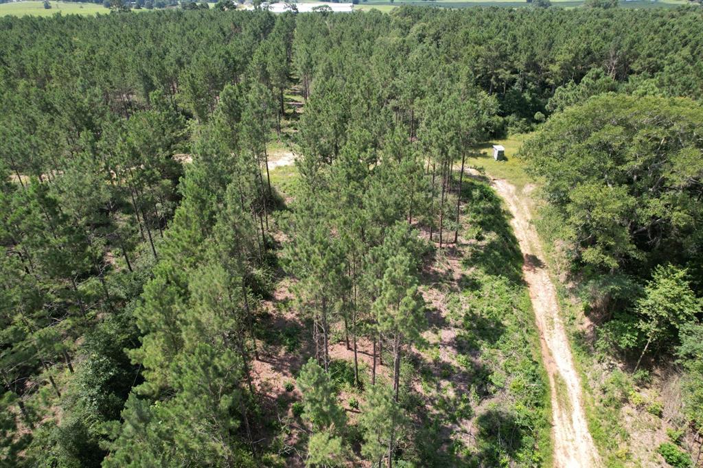 Tbd County Road 3706 Property Photo 7