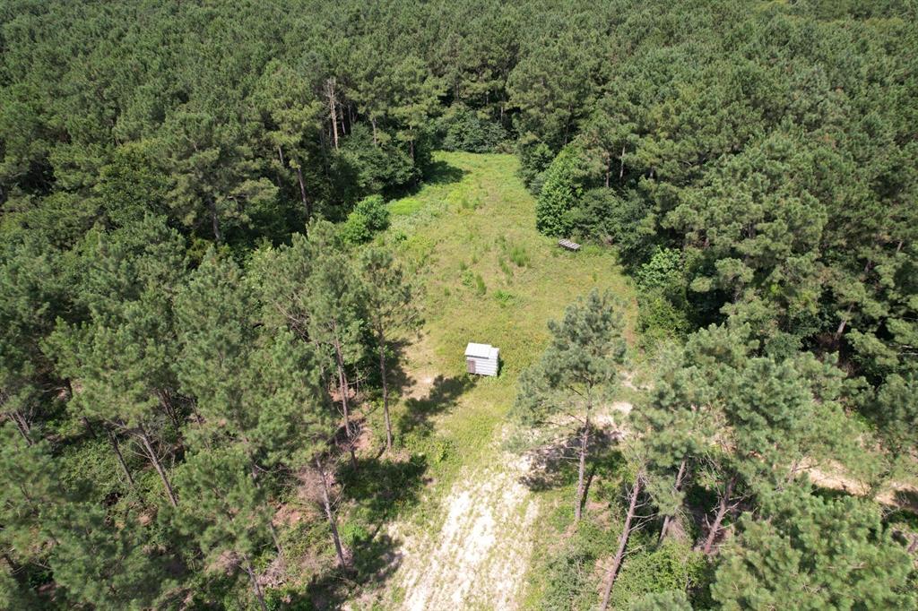 Tbd County Road 3706 Property Photo 8