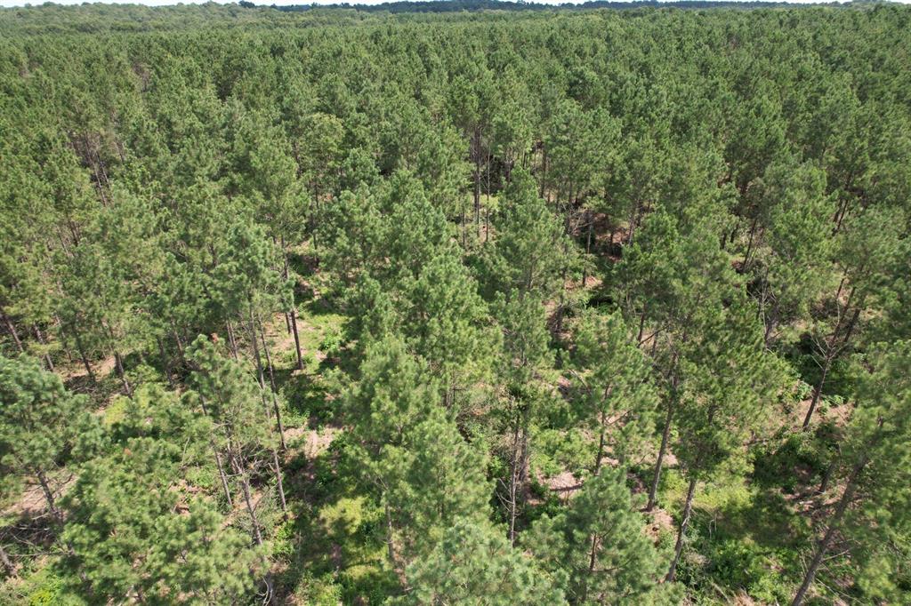 Tbd County Road 3706 Property Photo 9