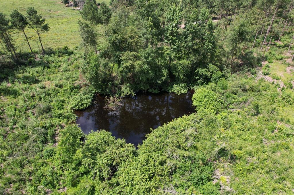 Tbd County Road 3706 Property Photo 10