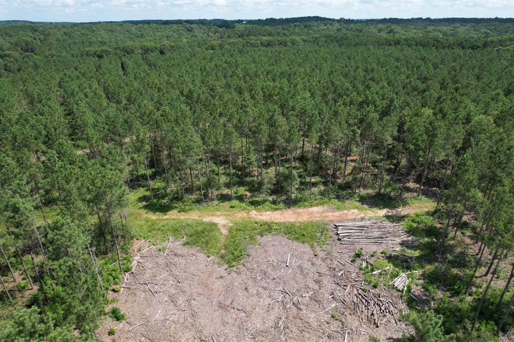 Tbd County Road 3706 Property Photo 11