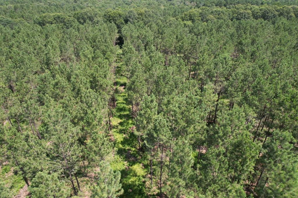 Tbd County Road 3706 Property Photo 12