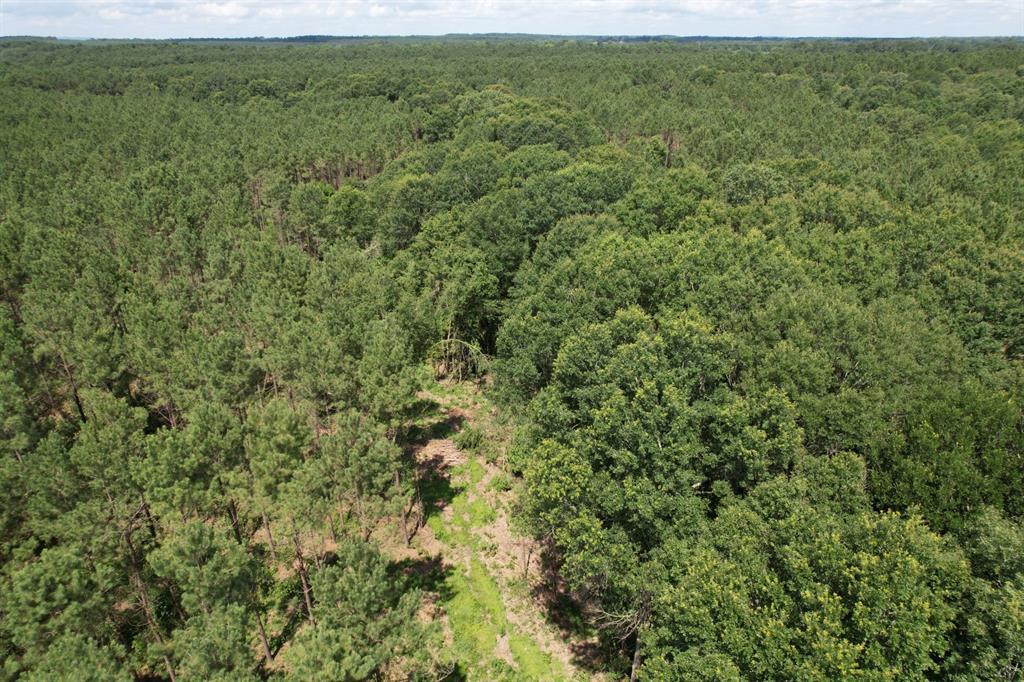 Tbd County Road 3706 Property Photo 13