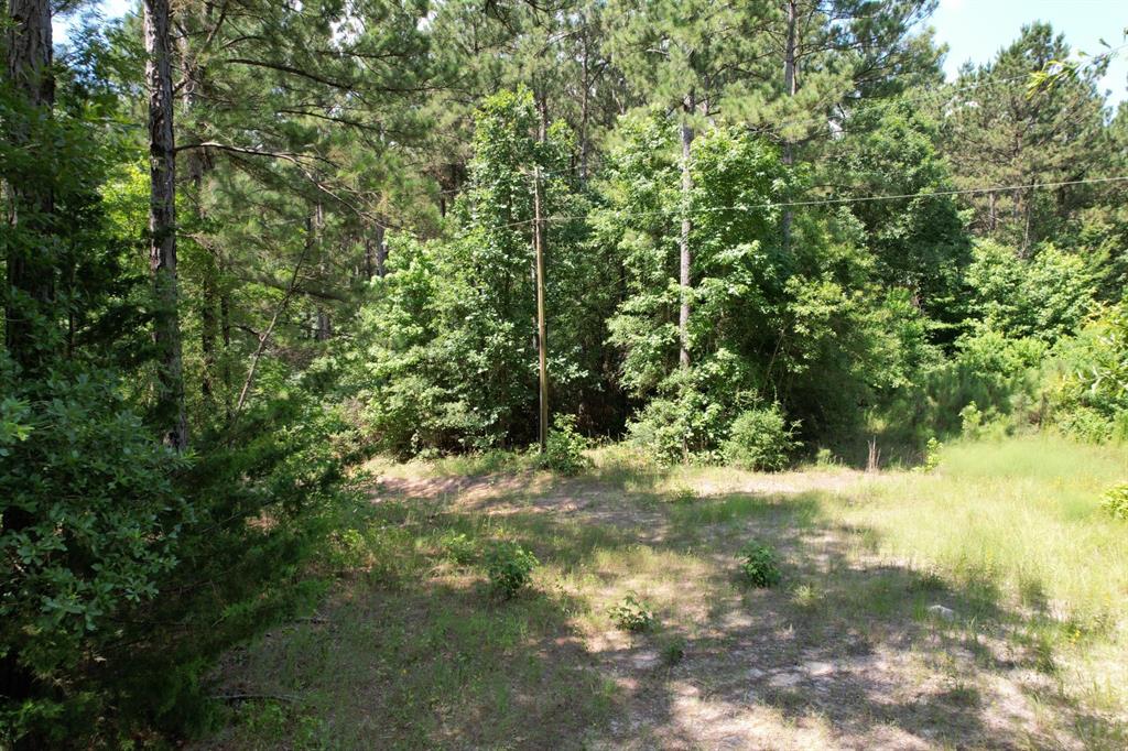 Tbd County Road 3706 Property Photo 15