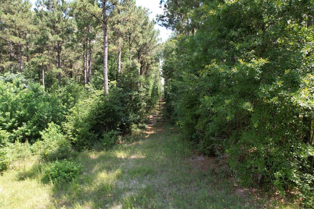 Tbd County Road 3706 Property Photo 16