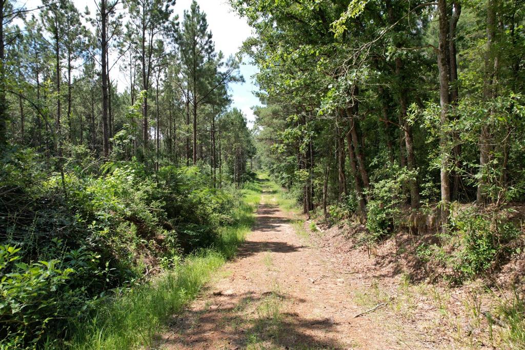 Tbd County Road 3706 Property Photo 17