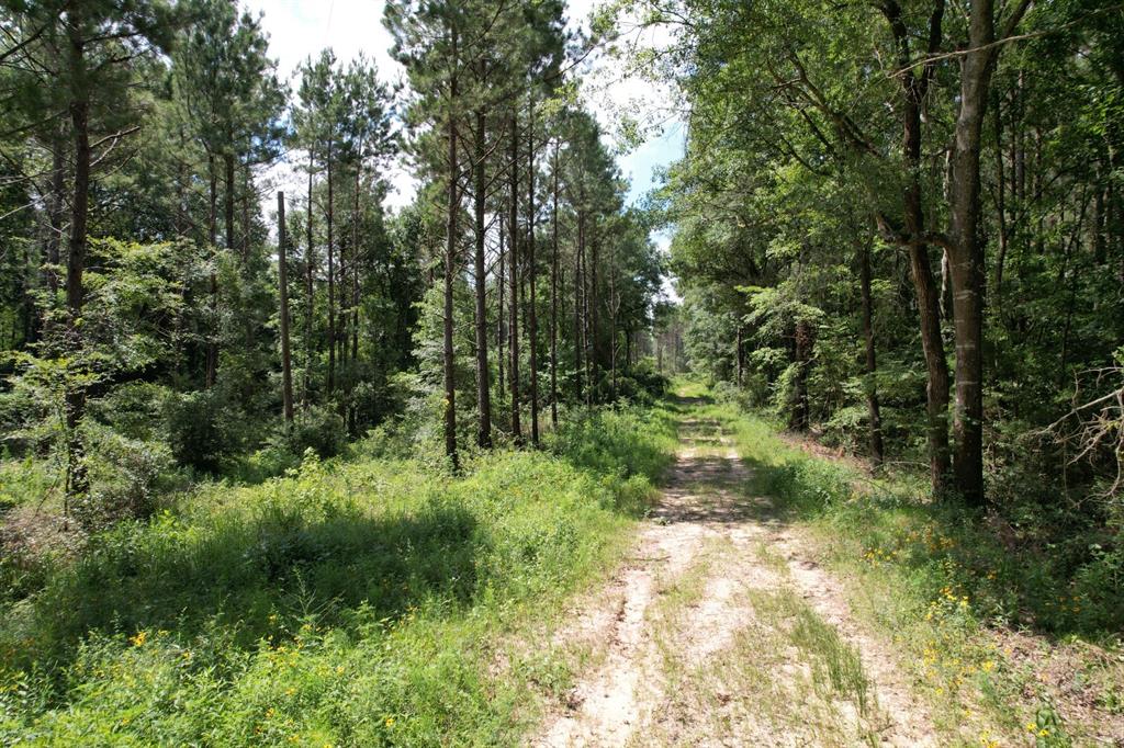 Tbd County Road 3706 Property Photo 18