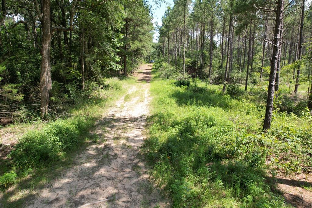 Tbd County Road 3706 Property Photo 19