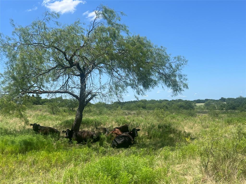 771 Hcr 2233 Property Photo 16