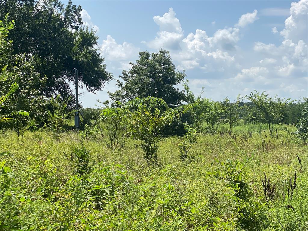 921-a County Road 2285 Property Photo 1