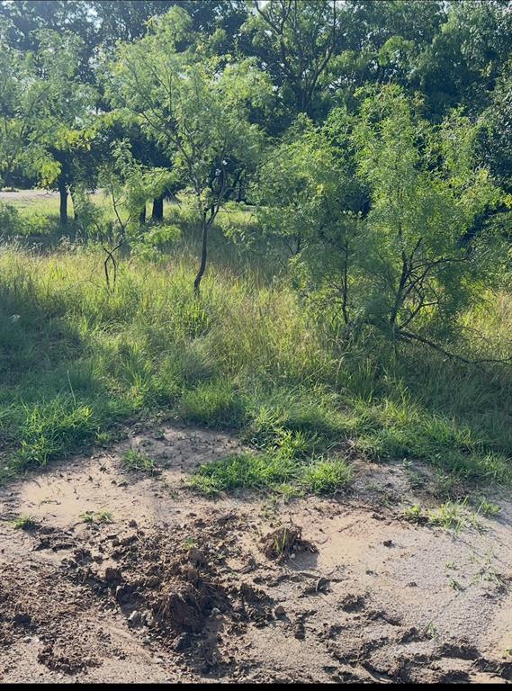 Lot 652 S Lakeside Drive Property Photo 1