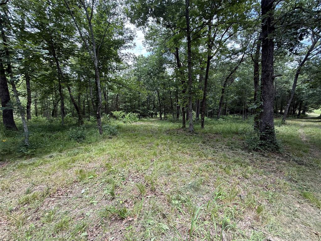 0000 County Road 1130 Property Photo 1