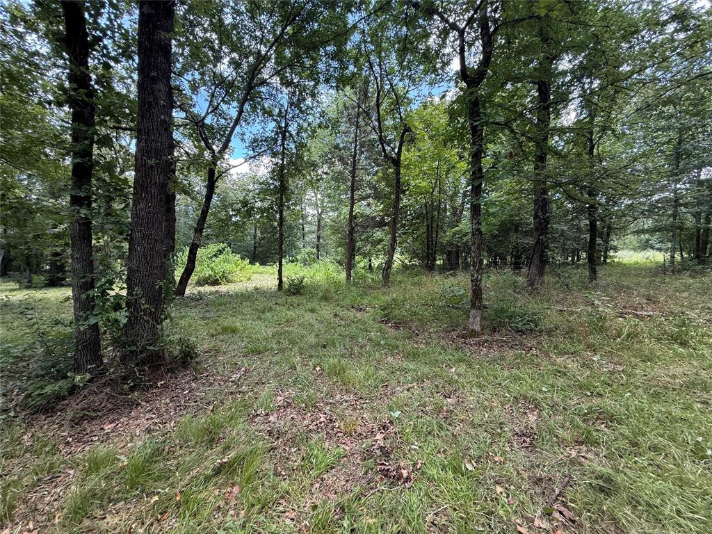 0000 County Road 1130 Property Photo 2