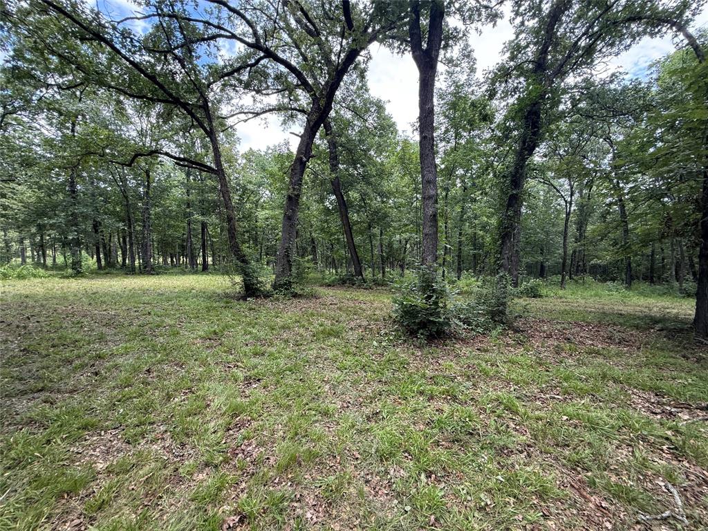 0000 County Road 1130 Property Photo 3