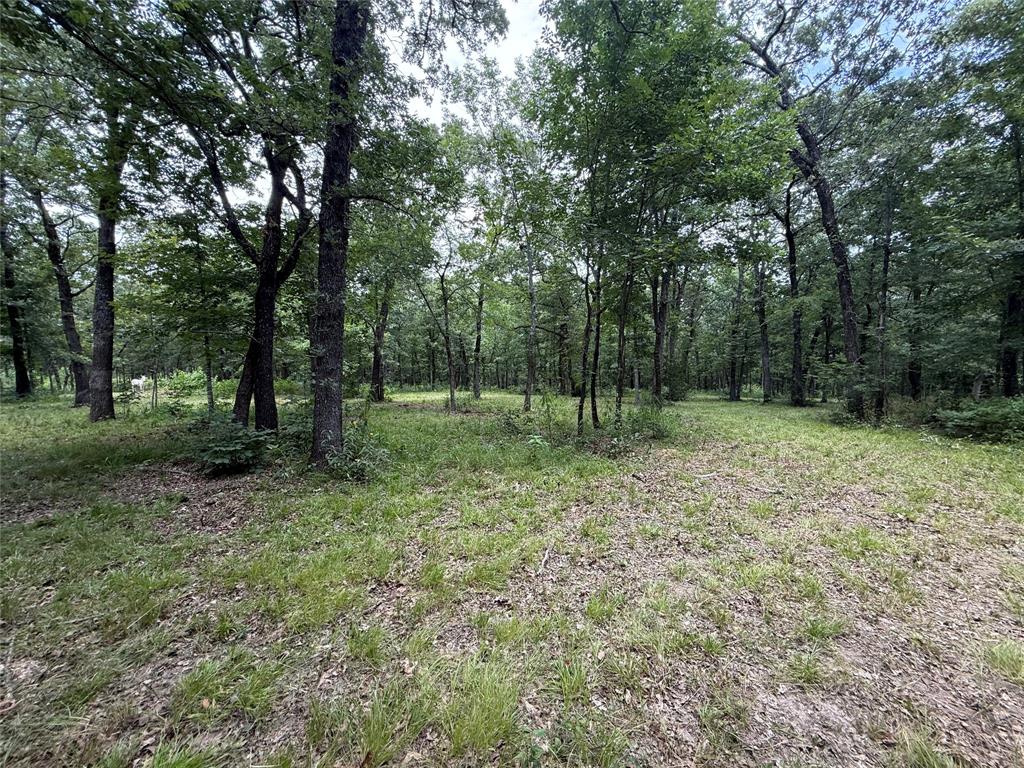 0000 County Road 1130 Property Photo 4