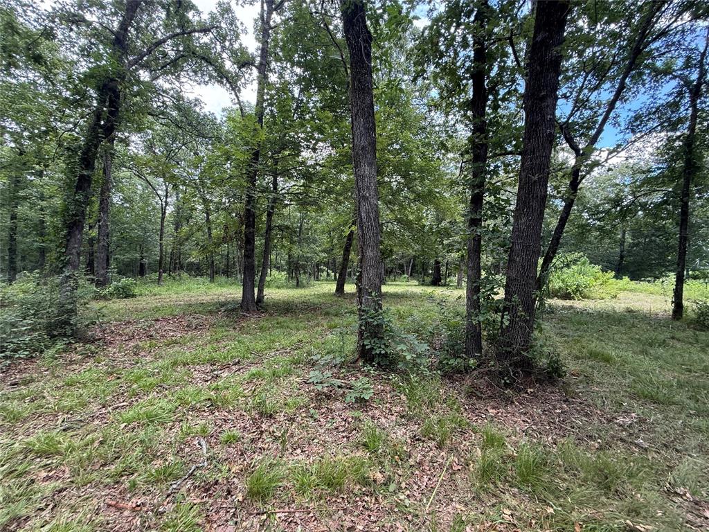 0000 County Road 1130 Property Photo 5