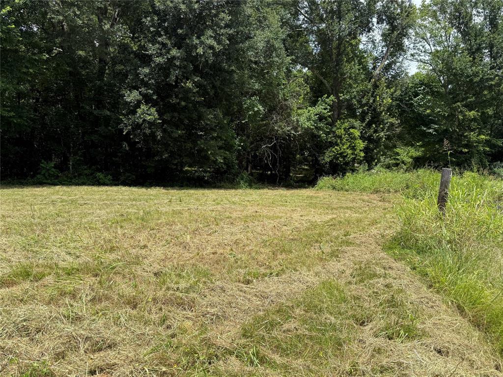 0000 County Road 1130 Property Photo 6