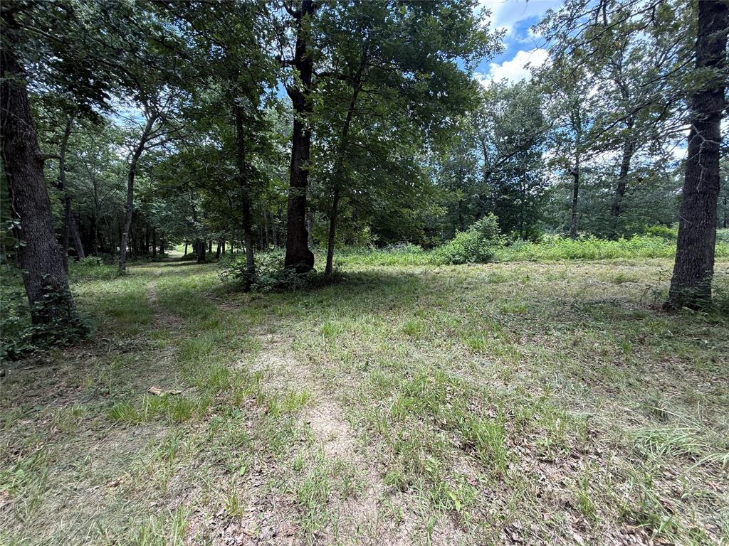 0000 County Road 1130 Property Photo 10