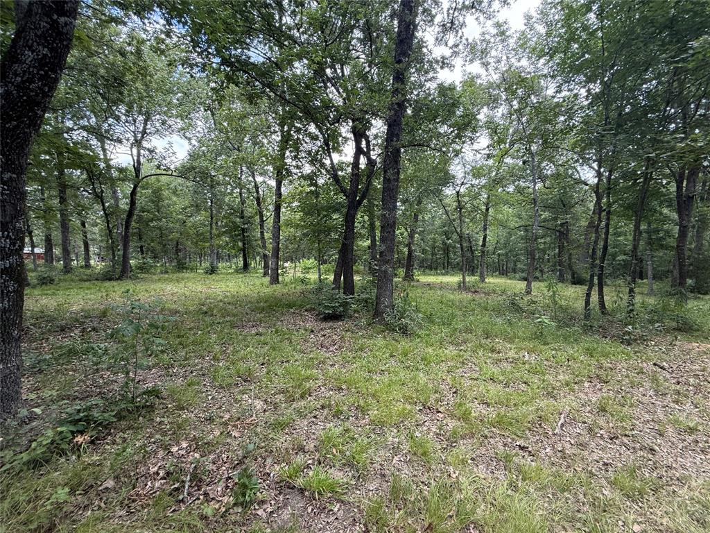 0000 County Road 1130 Property Photo 11
