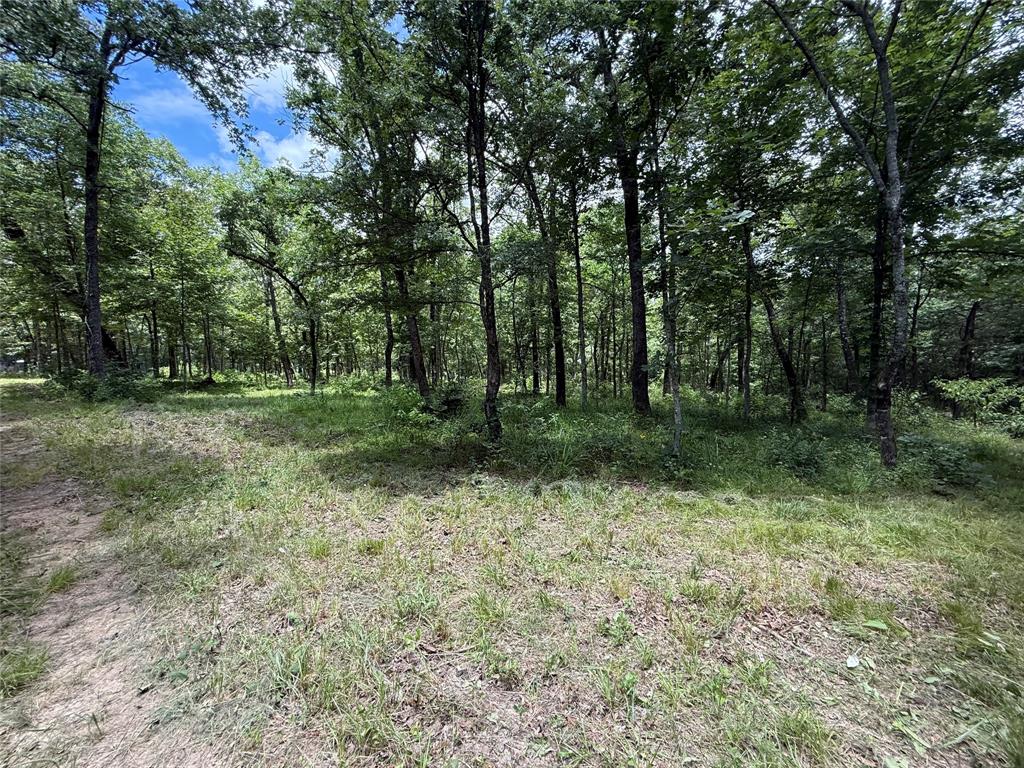 0000 County Road 1130 Property Photo 13