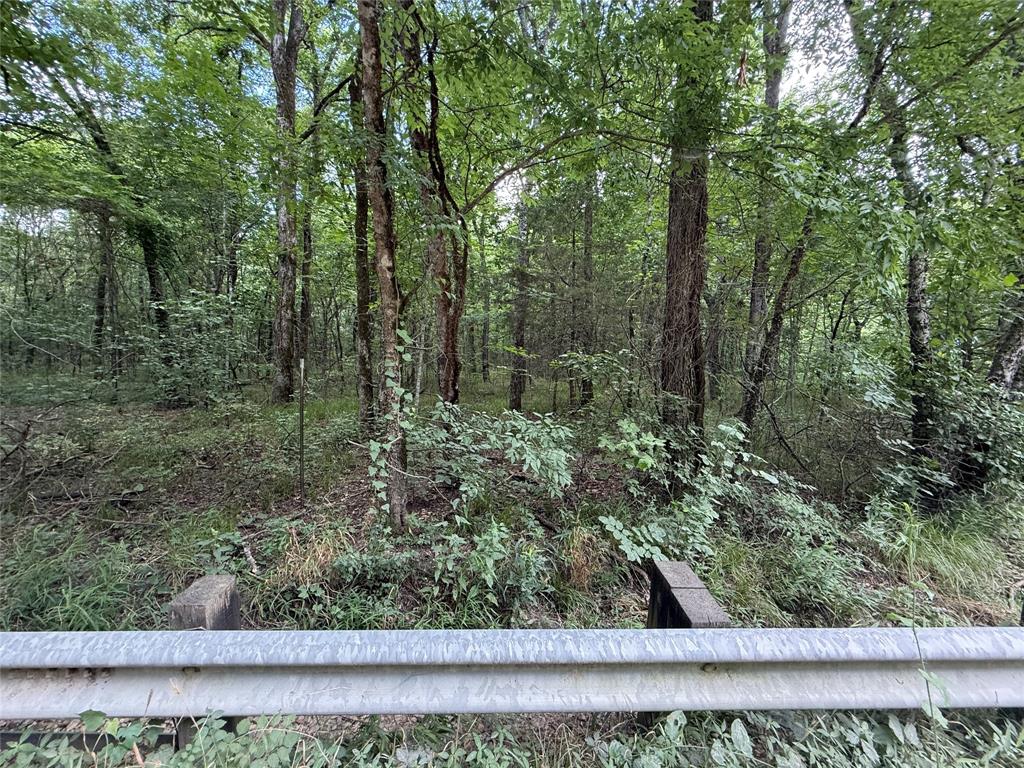 0000 County Road 1130 Property Photo 14
