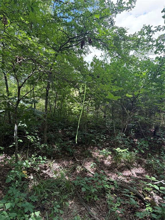 0000 County Road 1130 Property Photo 15