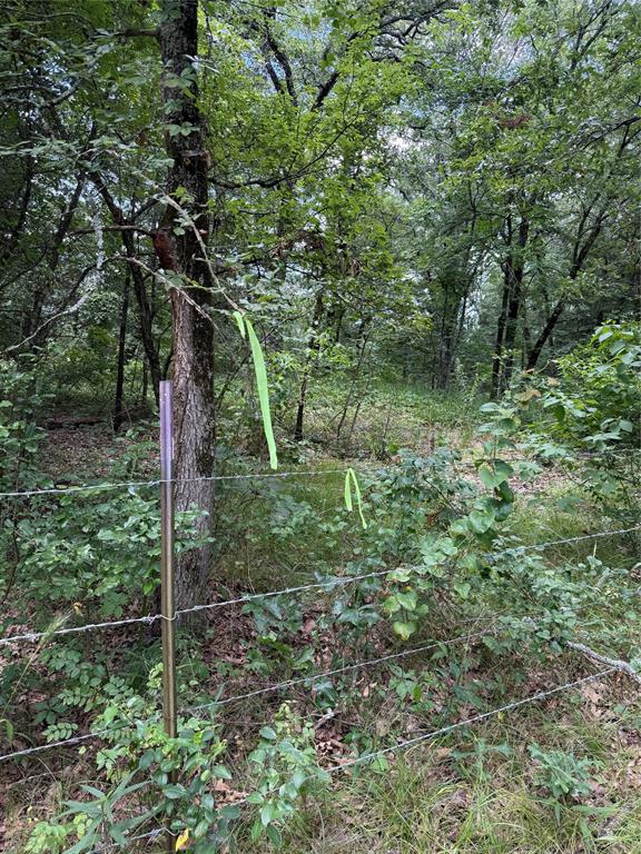 0000 County Road 1130 Property Photo 16