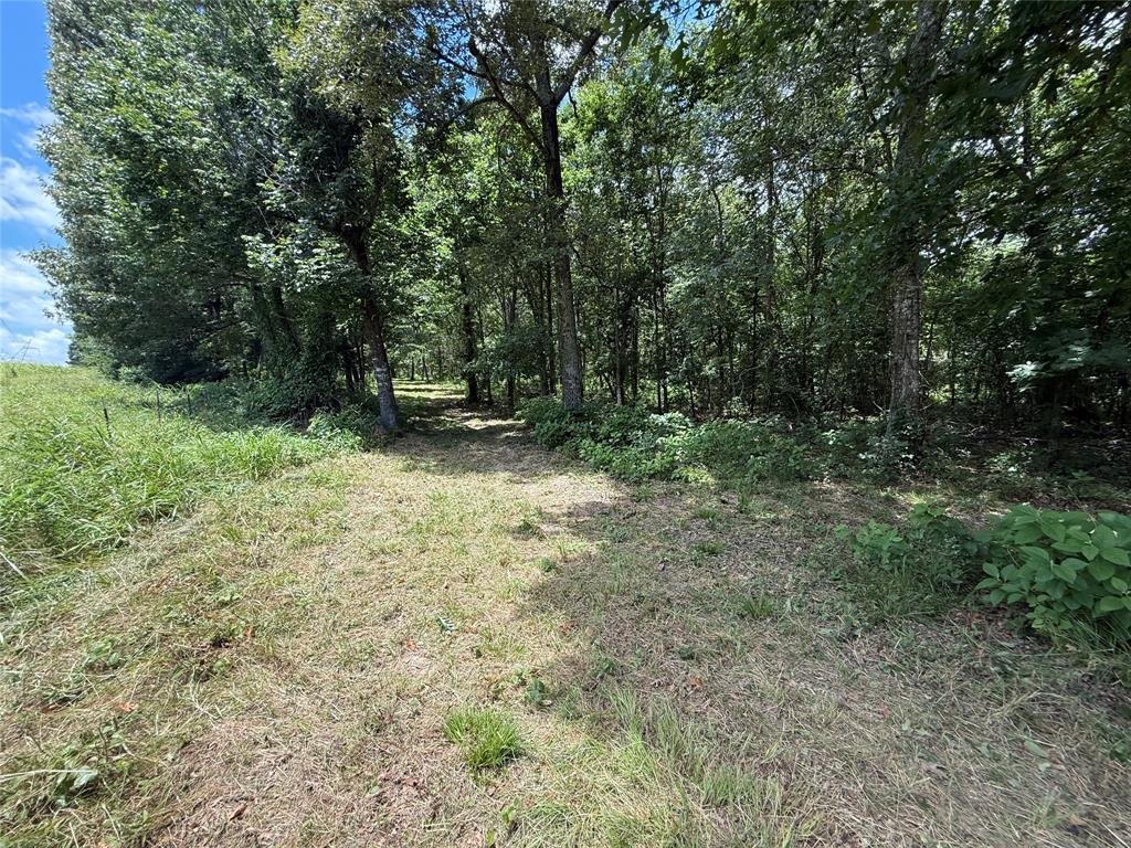 0000 County Road 1130 Property Photo 18