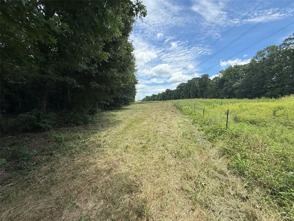 0000 County Road 1130 Property Photo 19