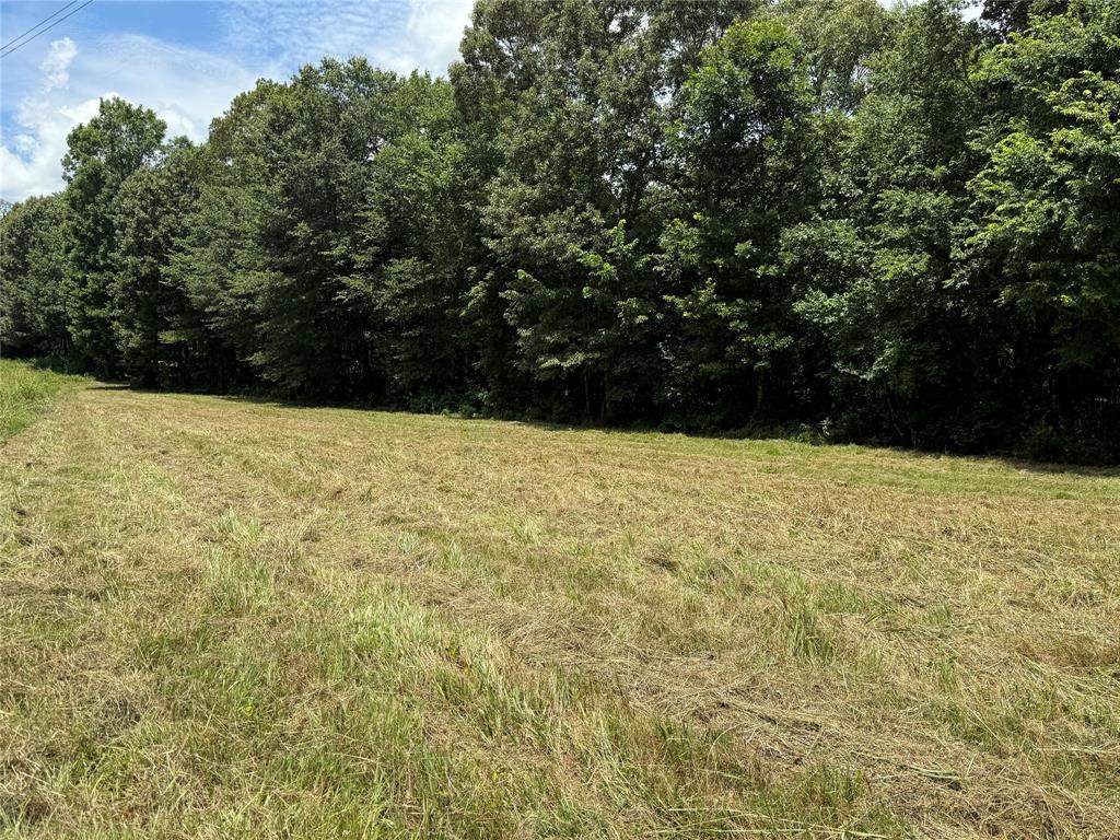 0000 County Road 1130 Property Photo 25