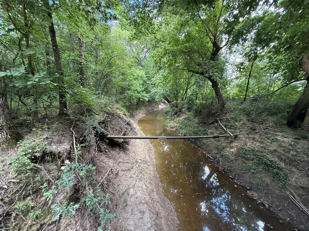 0000 County Road 1130 Property Photo 26