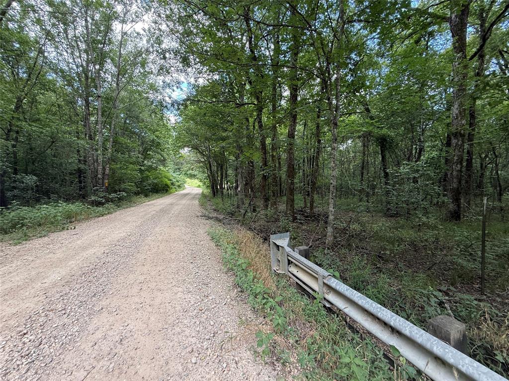 0000 County Road 1130 Property Photo 27