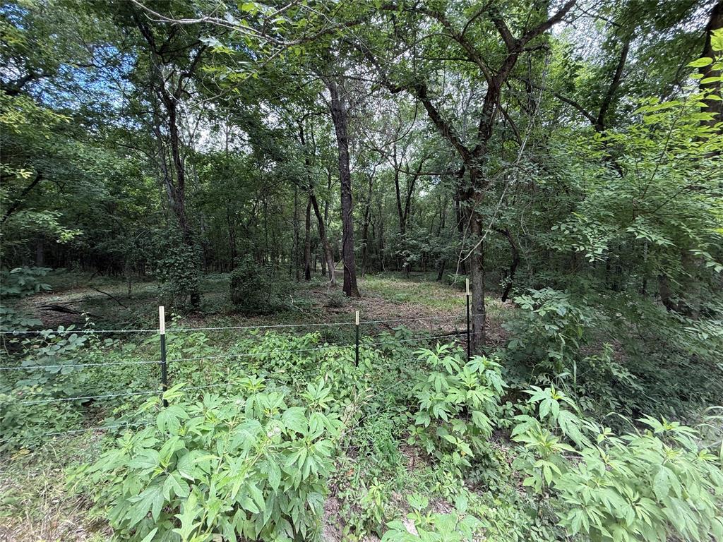 0000 County Road 1130 Property Photo 29