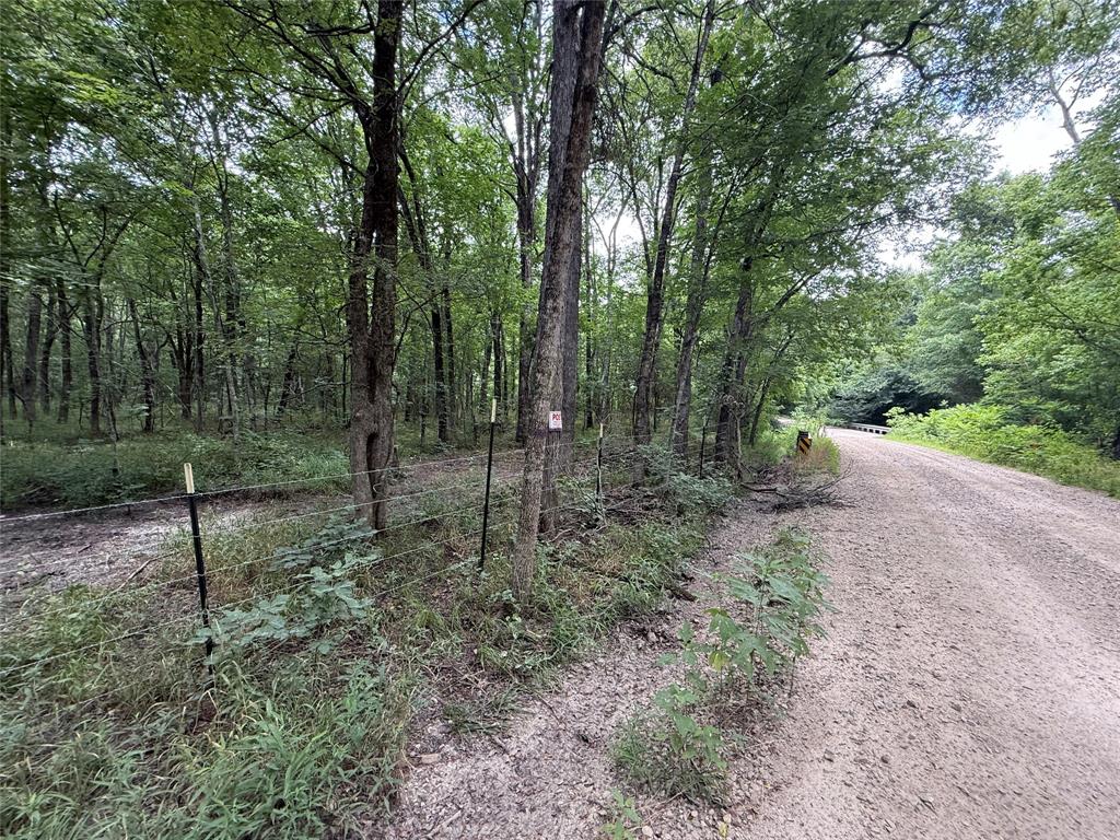0000 County Road 1130 Property Photo 30