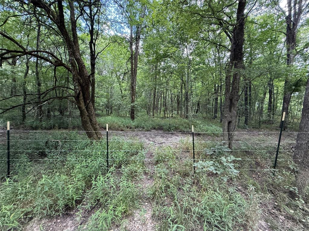 0000 County Road 1130 Property Photo 31